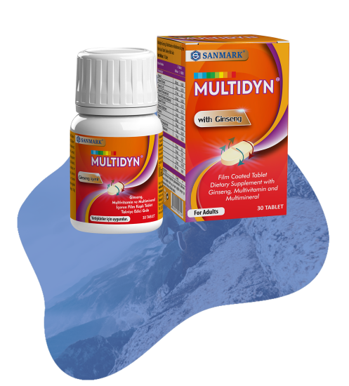 multidyn