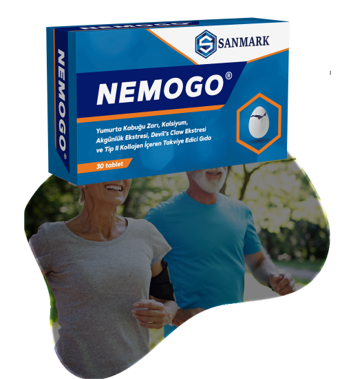 nemogo-2